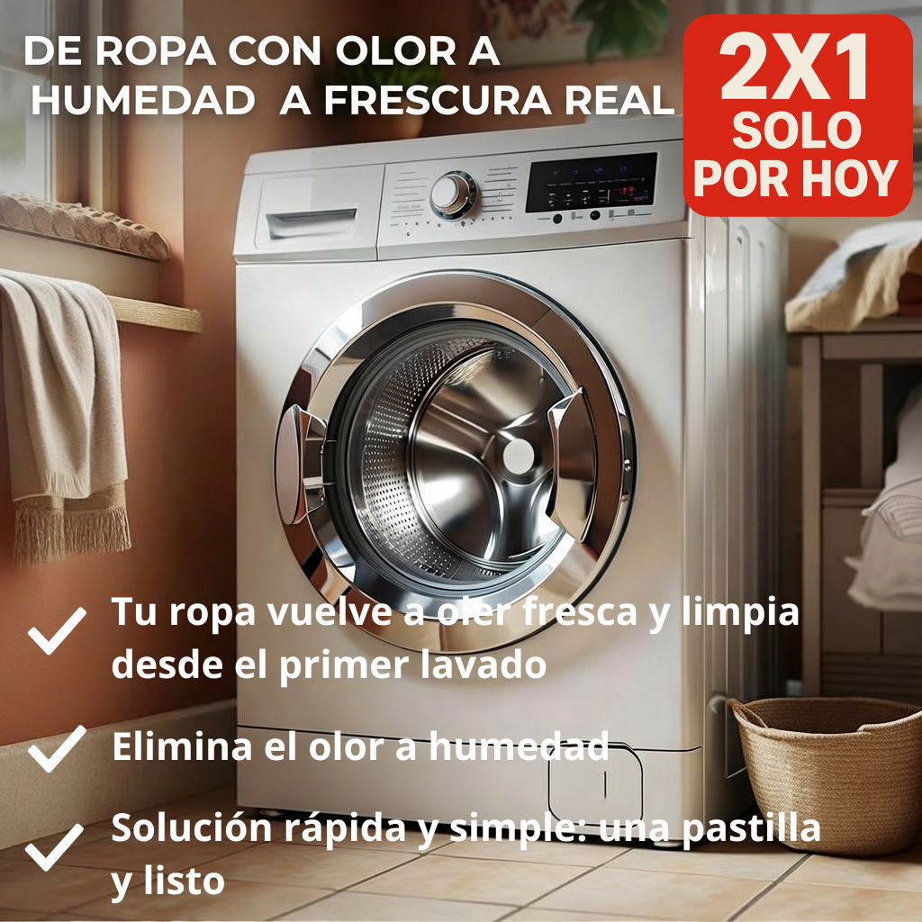 Pack Pastilla Lavadora X24 Unid. 2 Caj