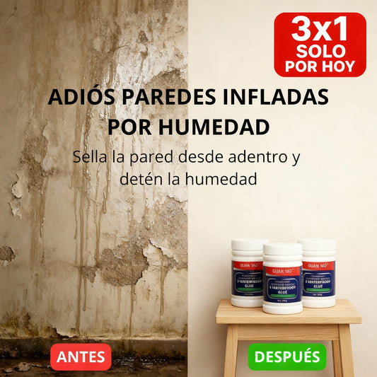 🎁 3x1 SOLO por HOY - HydroLock™ | Sellador Líquido Transaprente